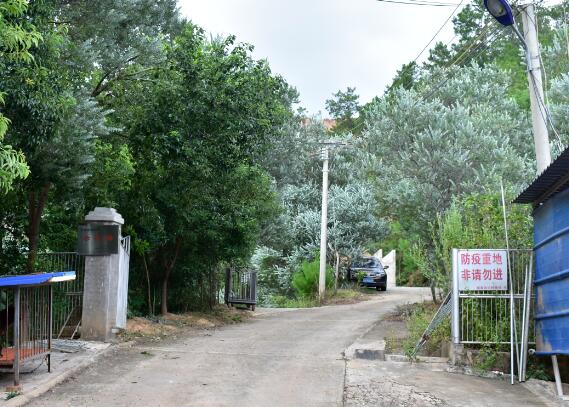 顺泰联兴种猪场